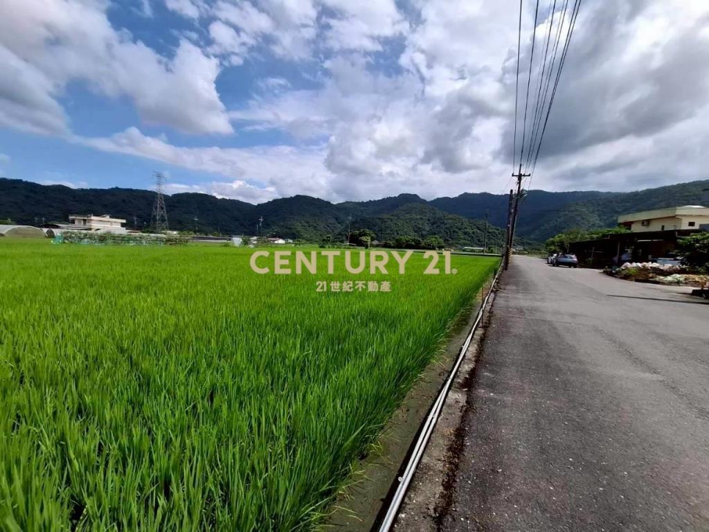 DC556三星大湖美好農地