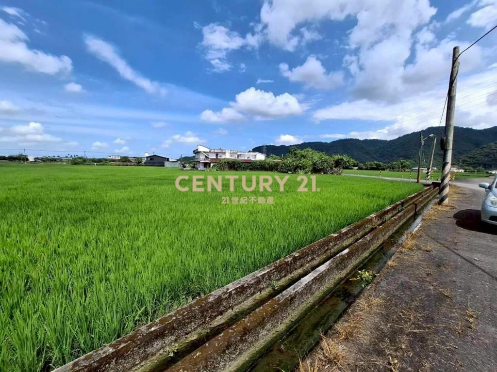 DC556三星大湖美好農地