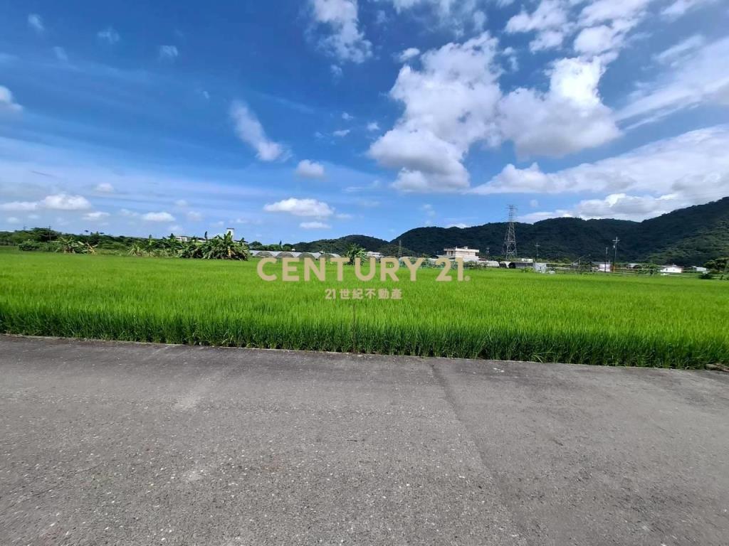 DC557三星大湖稻香農地