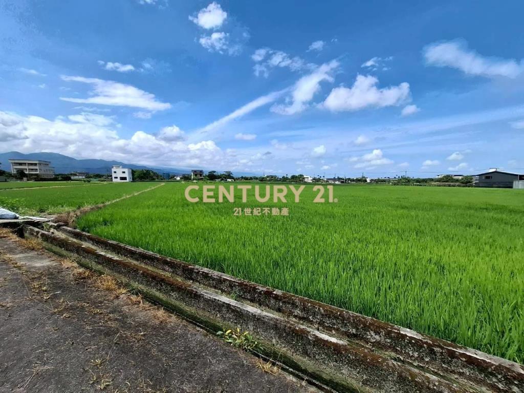 DC558三星大湖小坪數農地