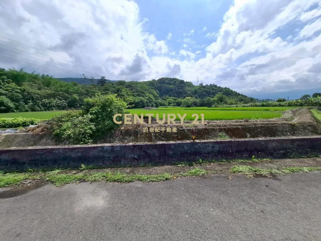 DC558三星大湖小坪數農地