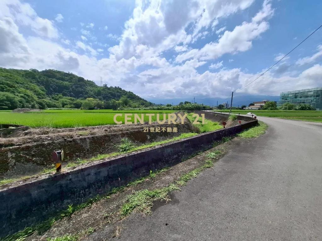DC558三星大湖小坪數農地