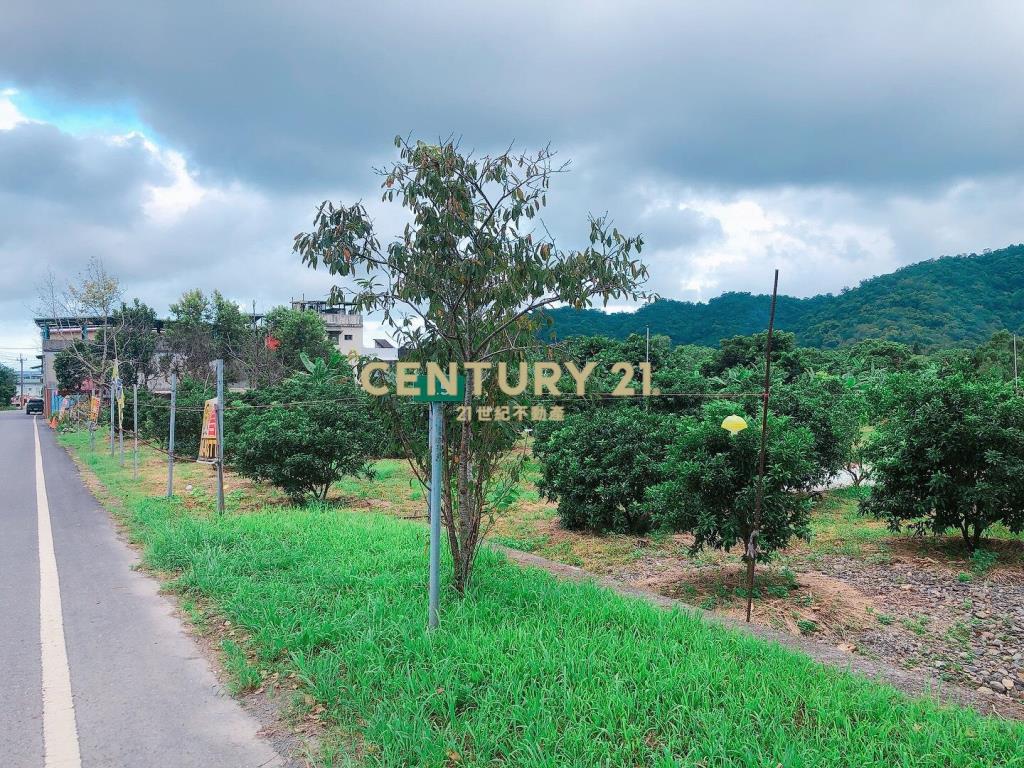 JC374林美路旁大面寬農地
