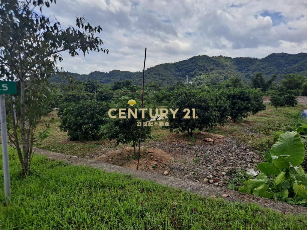 JC374林美路旁大面寬農地