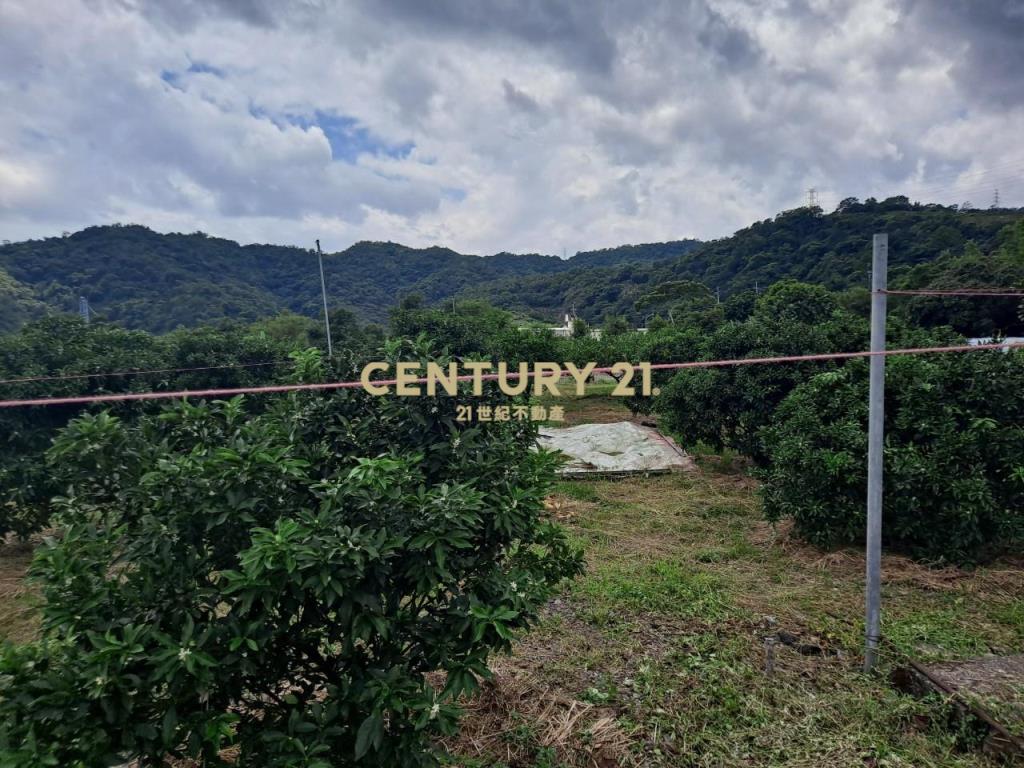 JC374林美路旁大面寬農地