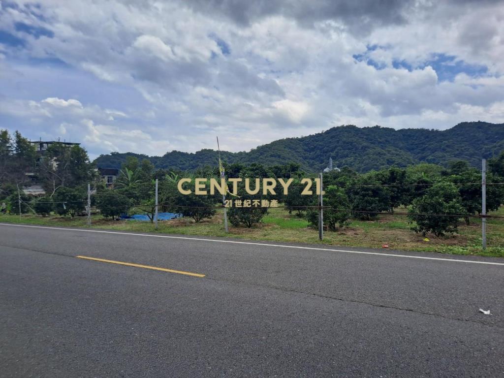 JC374林美路旁大面寬農地