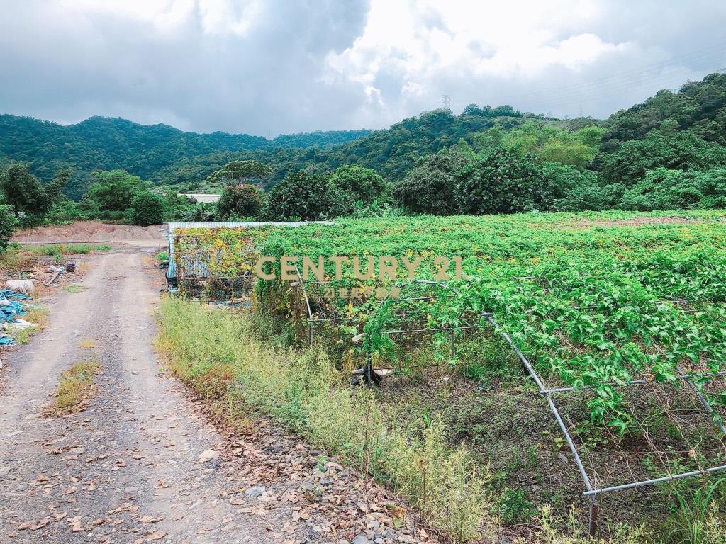 JC374林美路旁大面寬農地