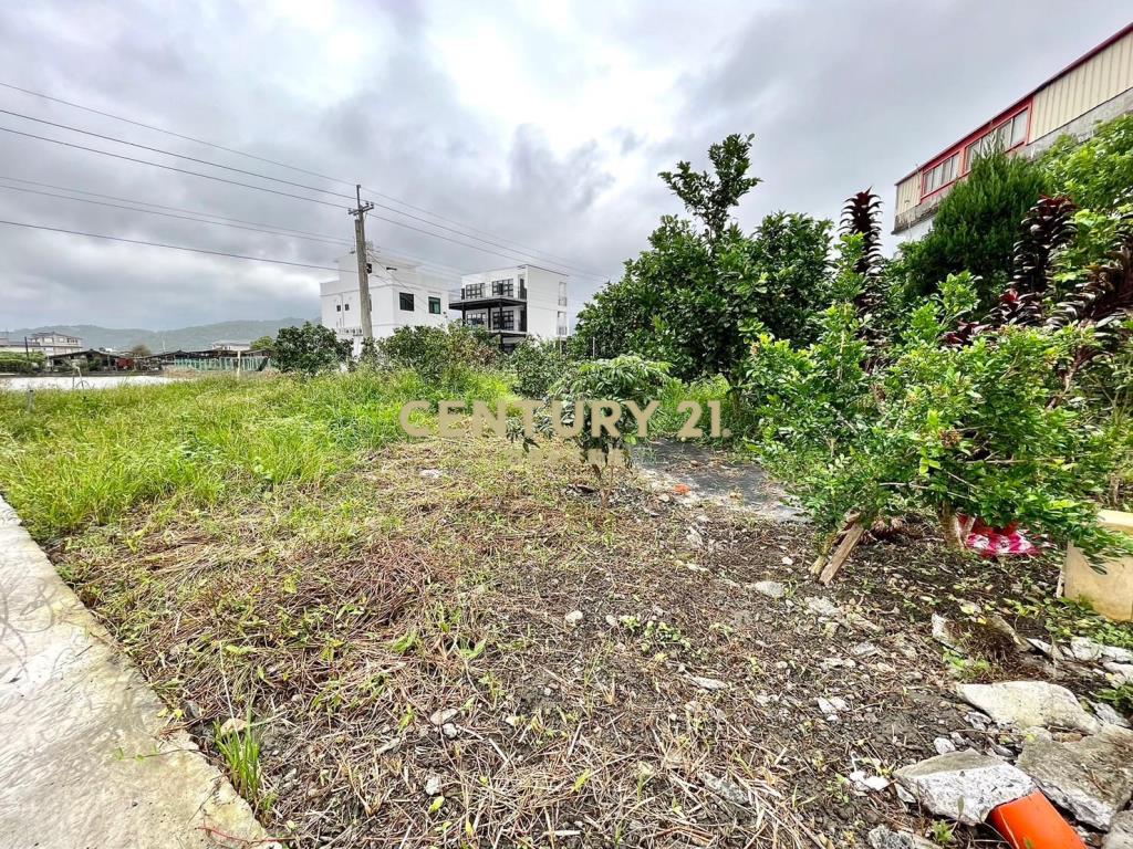 DE170礁溪依山傍水雙面路靚農舍