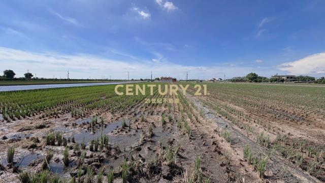 JC377埤頭新庄段方正美農地