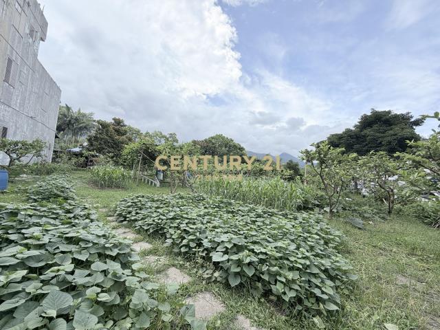 DC560礁溪省道有夢最美農地