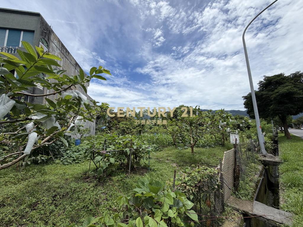 DC560礁溪省道有夢最美農地