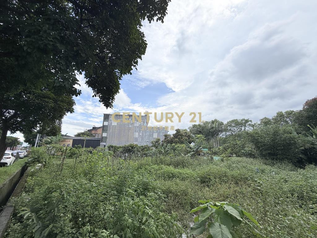 DC560礁溪省道有夢最美農地