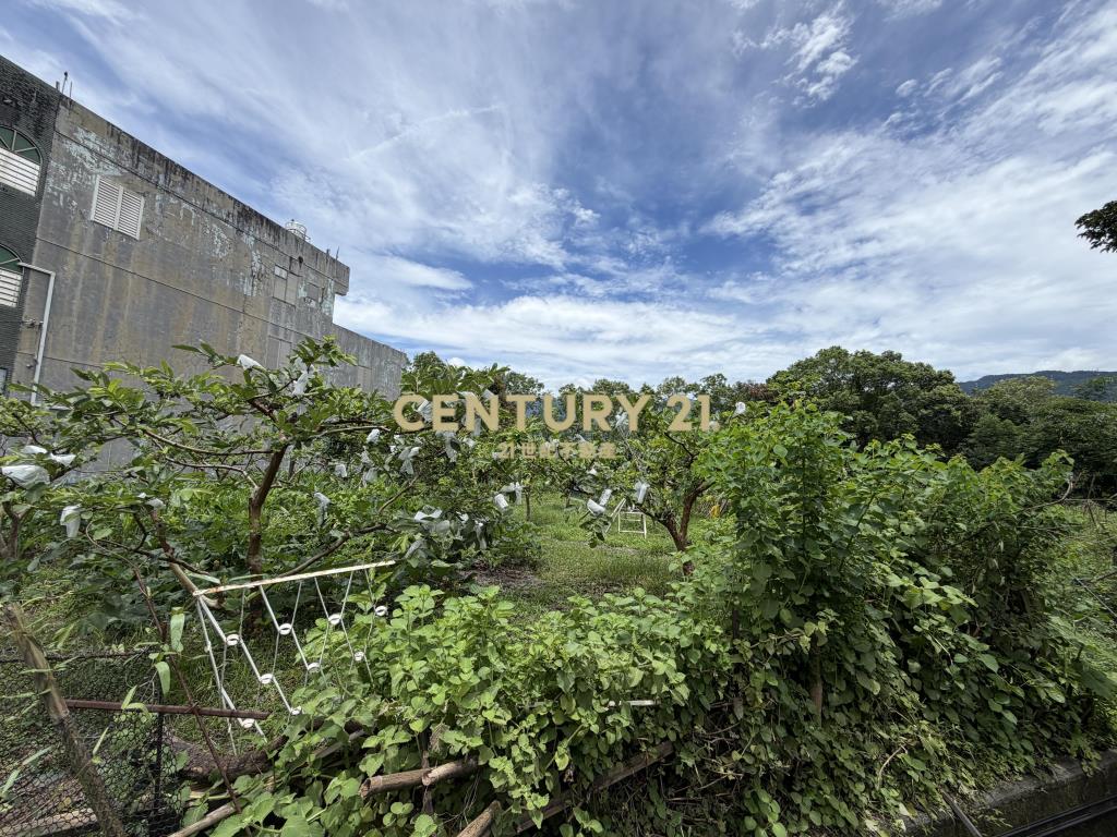 DC560礁溪省道有夢最美農地
