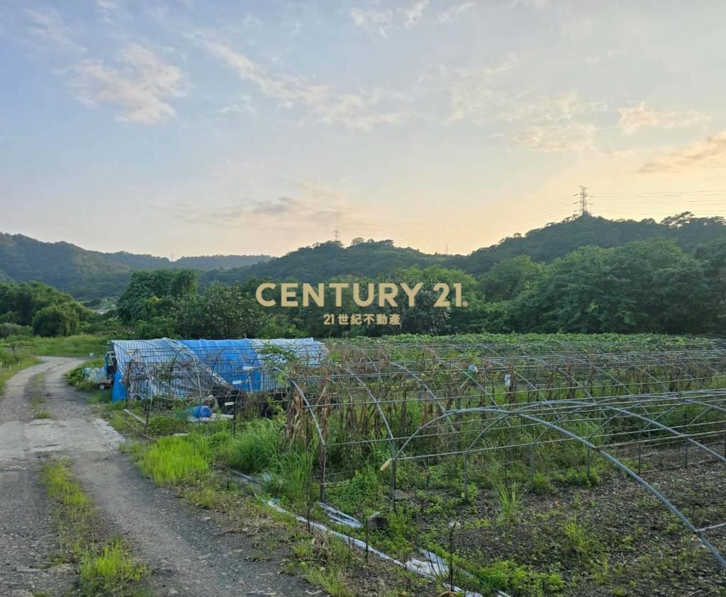 JC378礁溪高爾夫球場大坪數農地A
