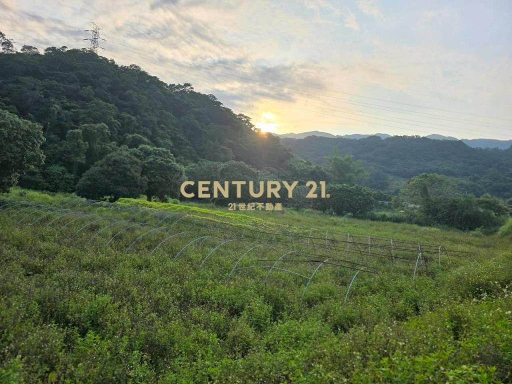 JC378礁溪高爾夫球場大坪數農地A