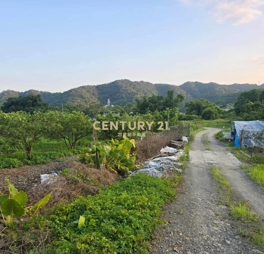 JC379礁溪高爾夫球場大坪數農地B