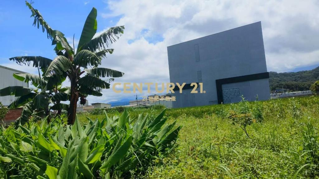 DE171礁溪左岸清水模全新農舍