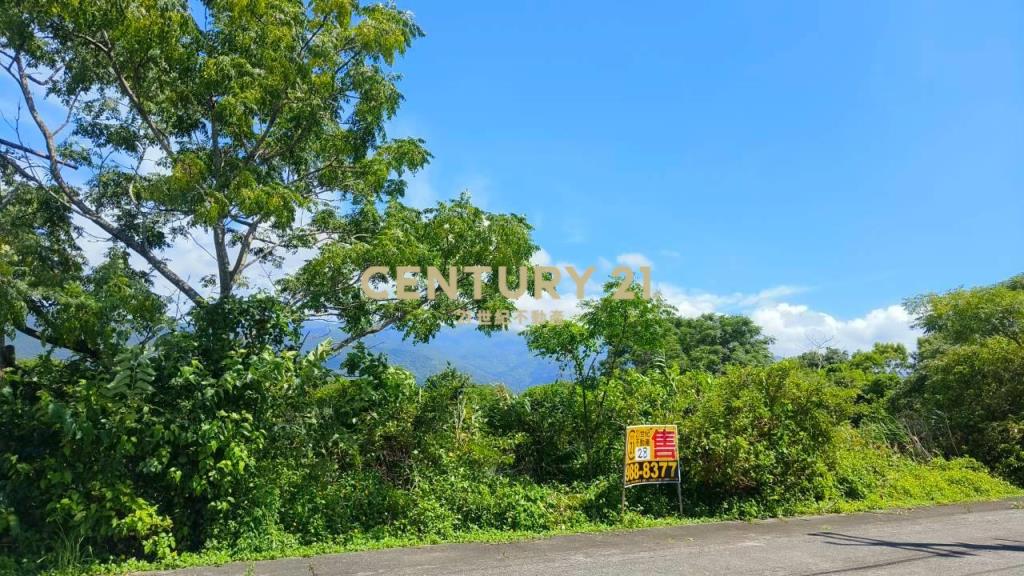 DC565礁溪常興段1608魚塭農地