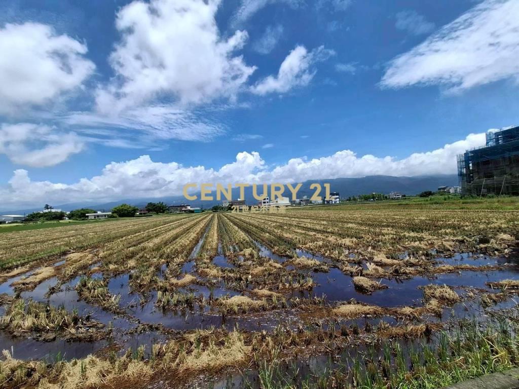 DC564玉田足坪有景觀農地