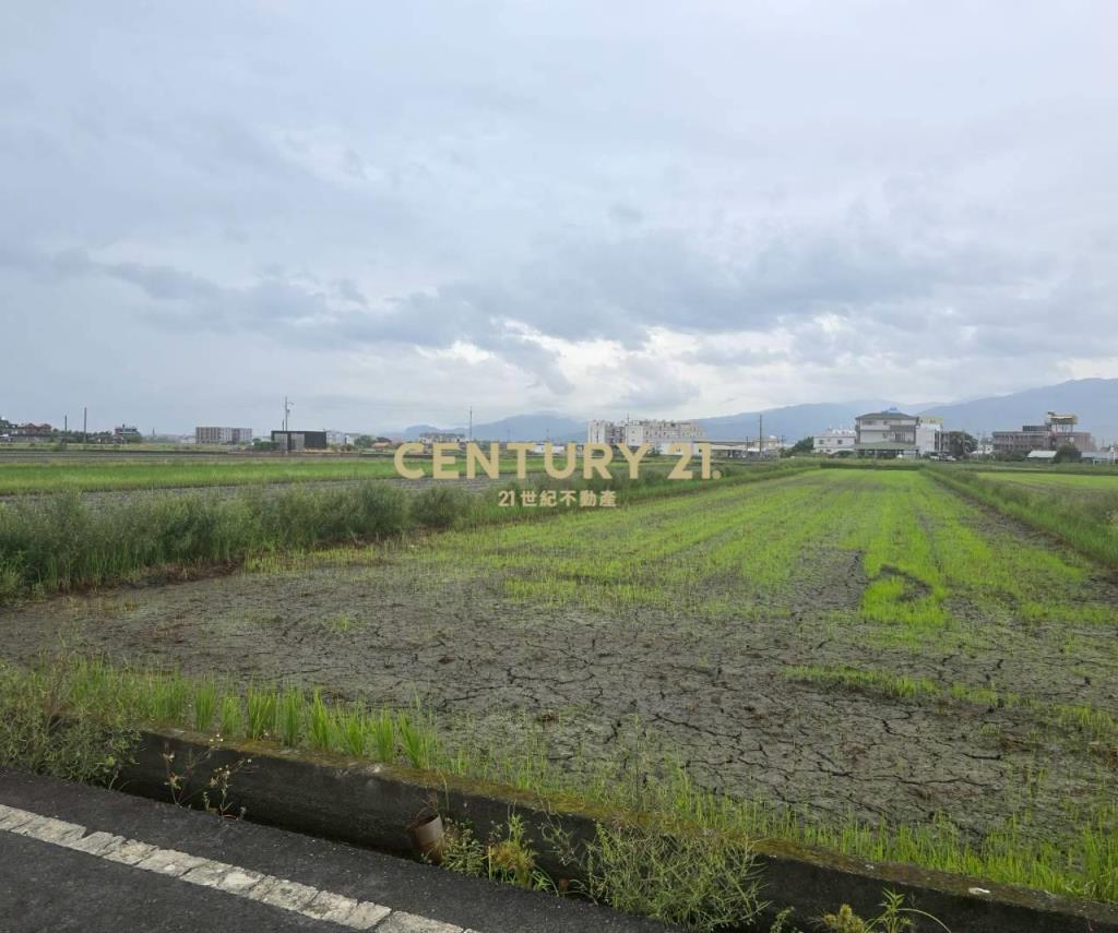 JC382壯圍壯志段足坪農地