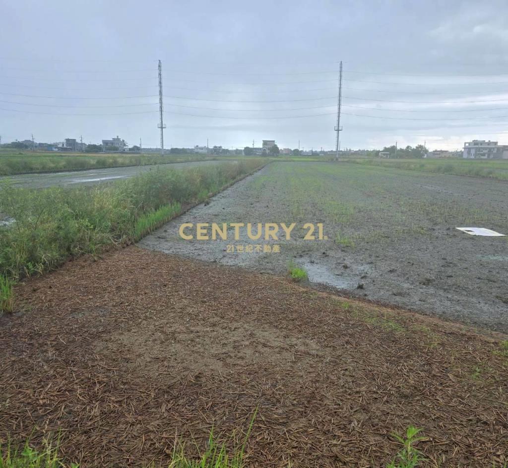 JC382壯圍壯志段足坪農地