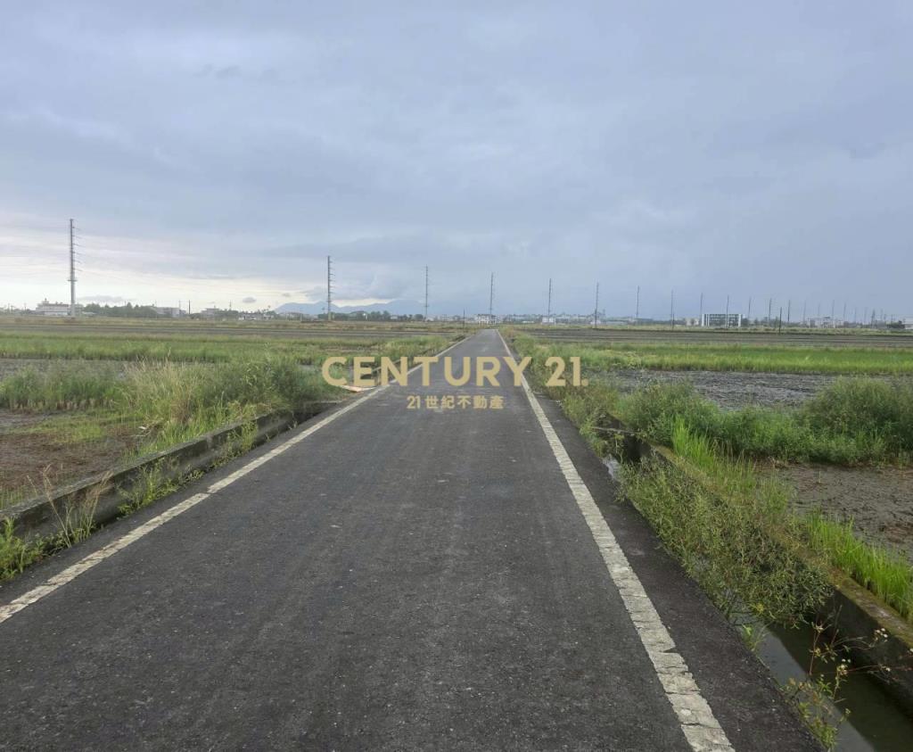 JC382壯圍壯志段足坪農地