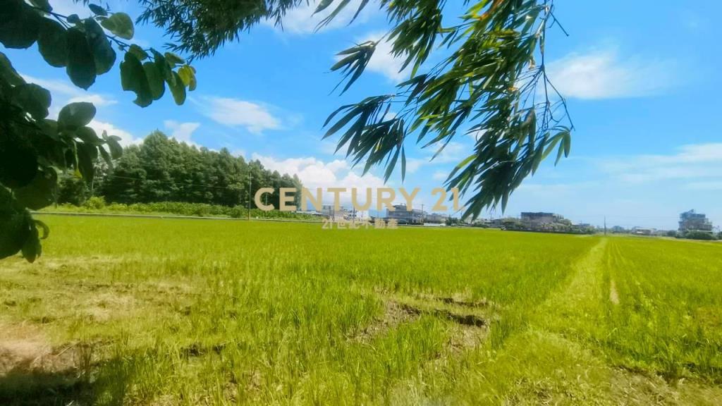 DC566礁溪武暖足坪美農地