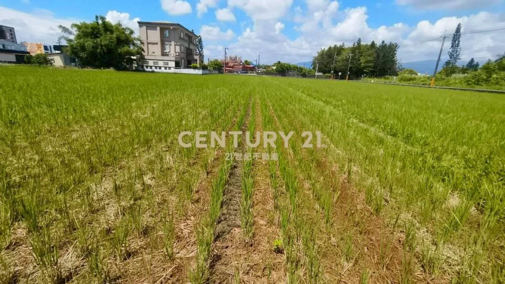 DC566礁溪武暖足坪美農地