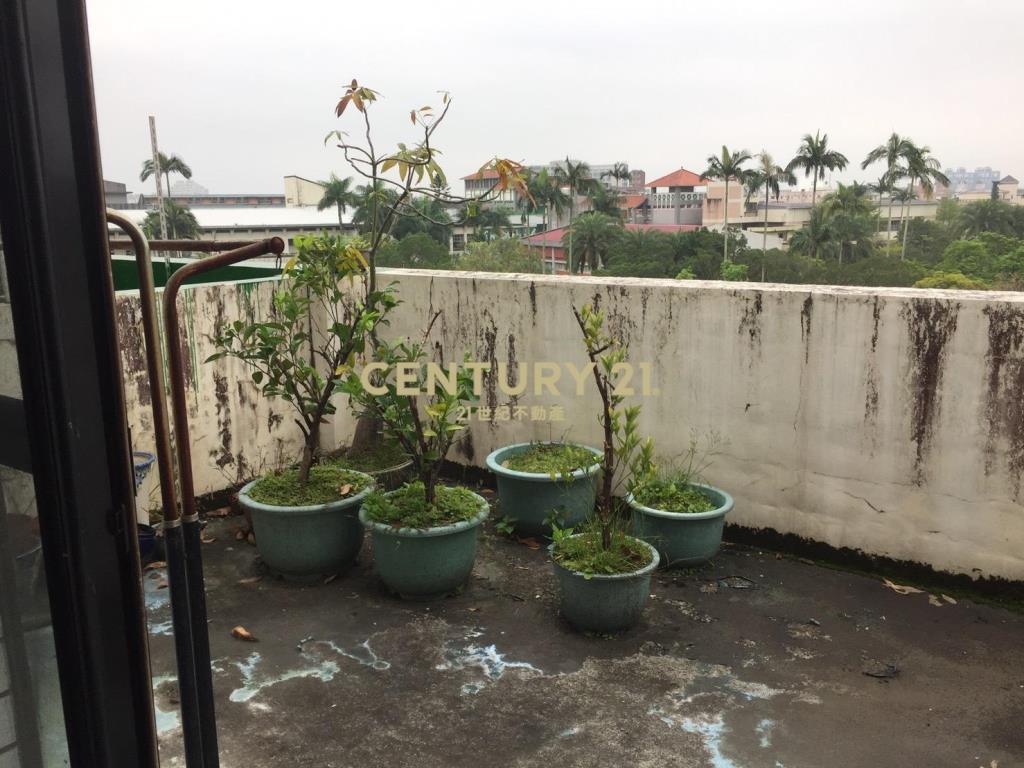 CG091中山公園黃金店面