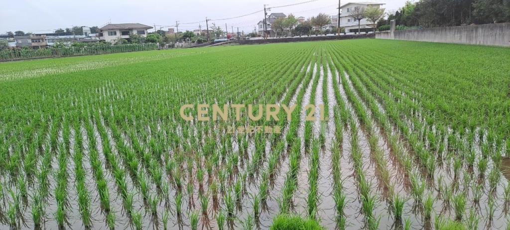 CC349七賢國小農地