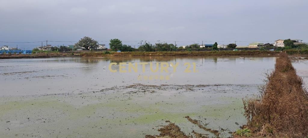 CC349七賢國小農地