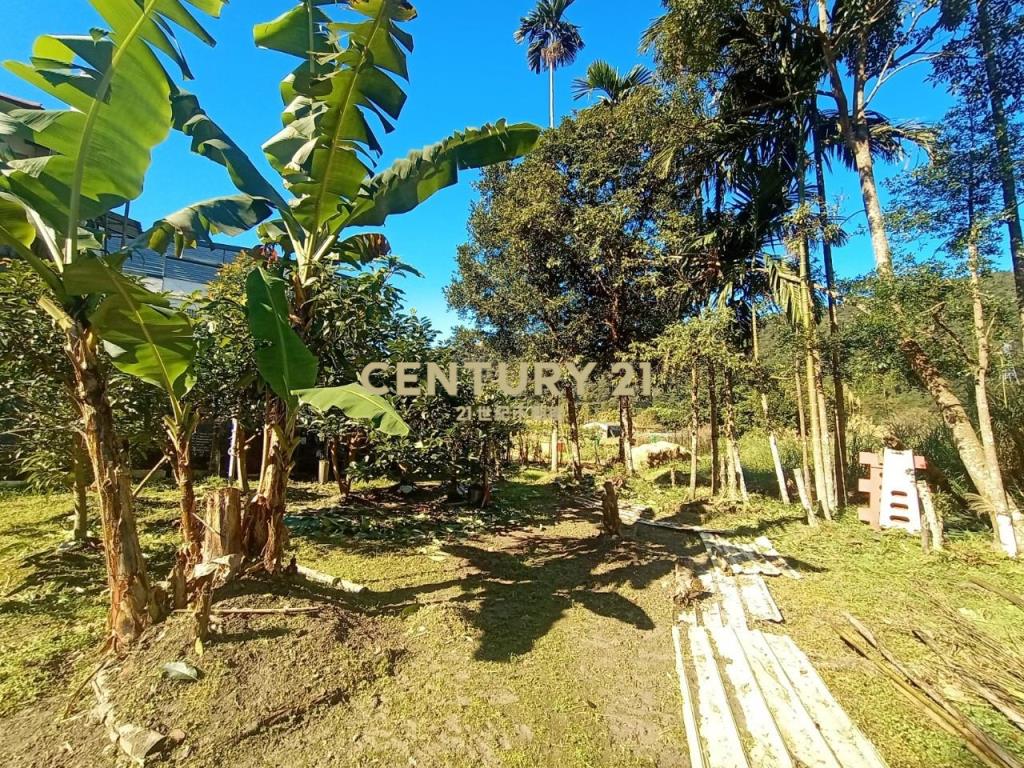 CC588員山特有溫泉農建地