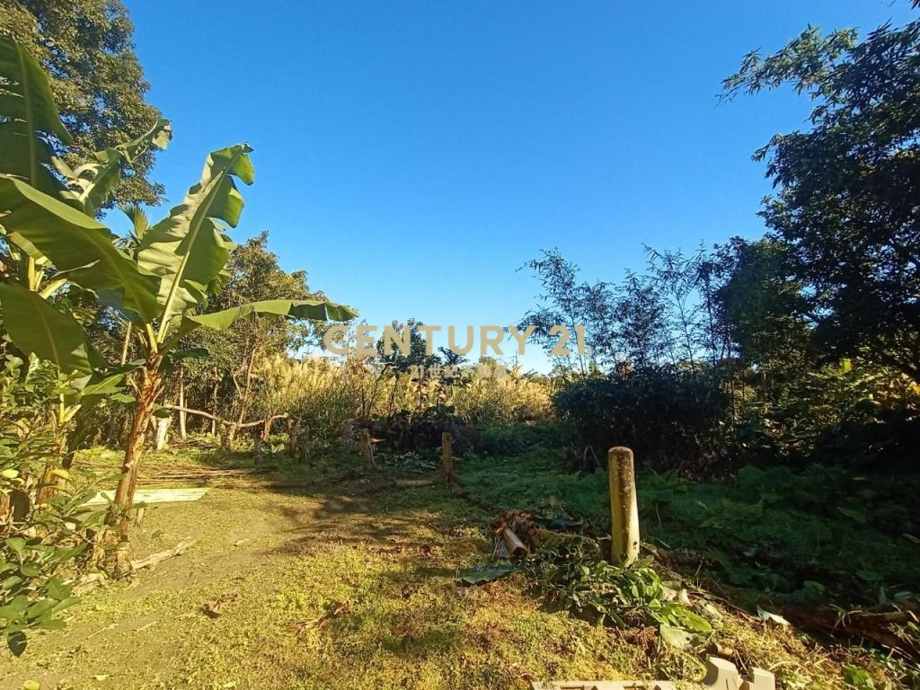 CC588員山特有溫泉農建地