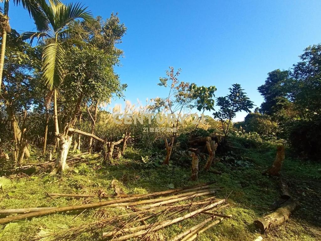 CC588員山特有溫泉農建地