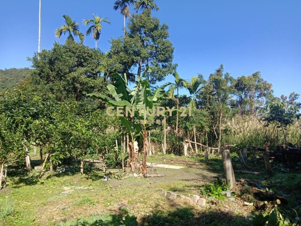 CC588員山特有溫泉農建地