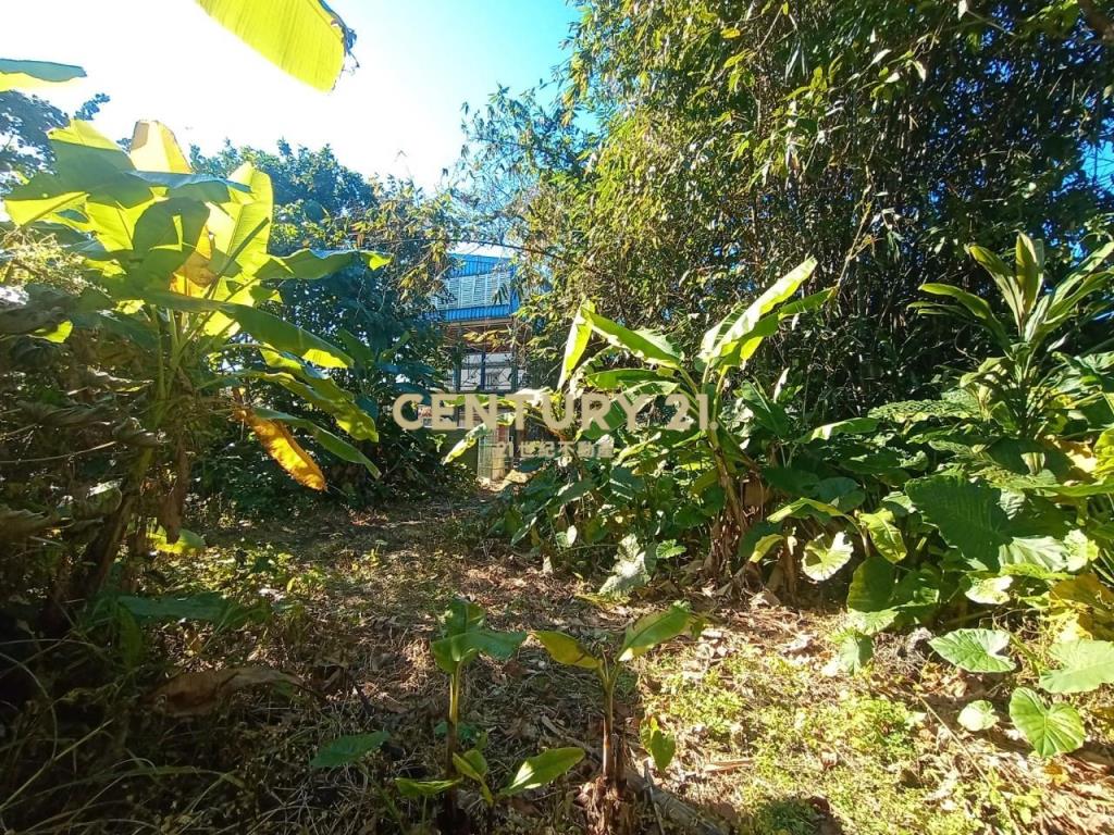 CC588員山特有溫泉農建地