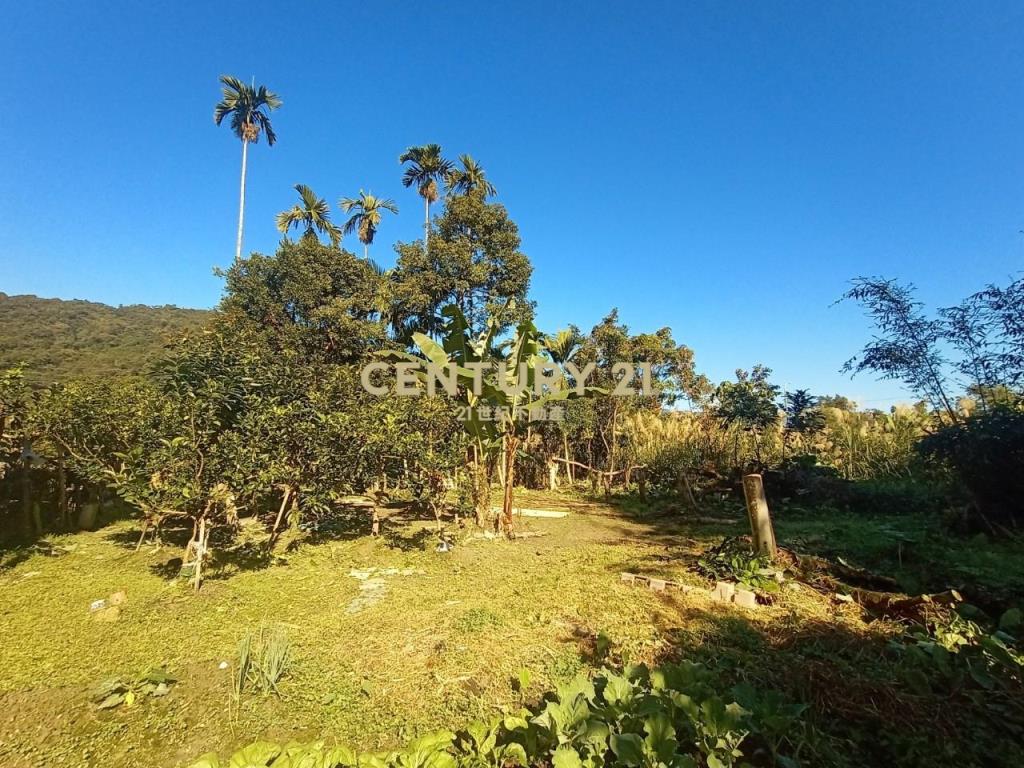 CC588員山特有溫泉農建地