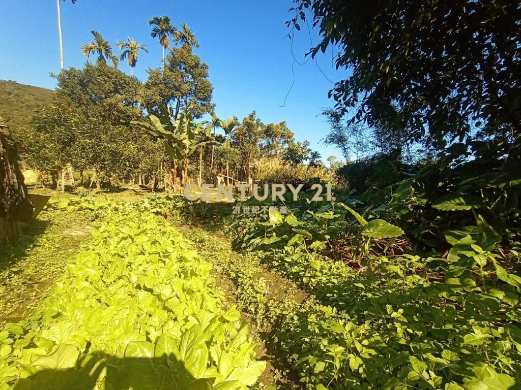 CC588員山特有溫泉農建地