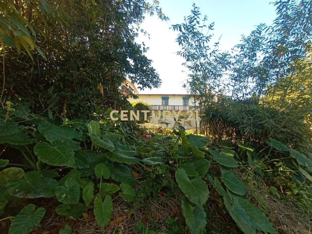 CC588員山特有溫泉農建地