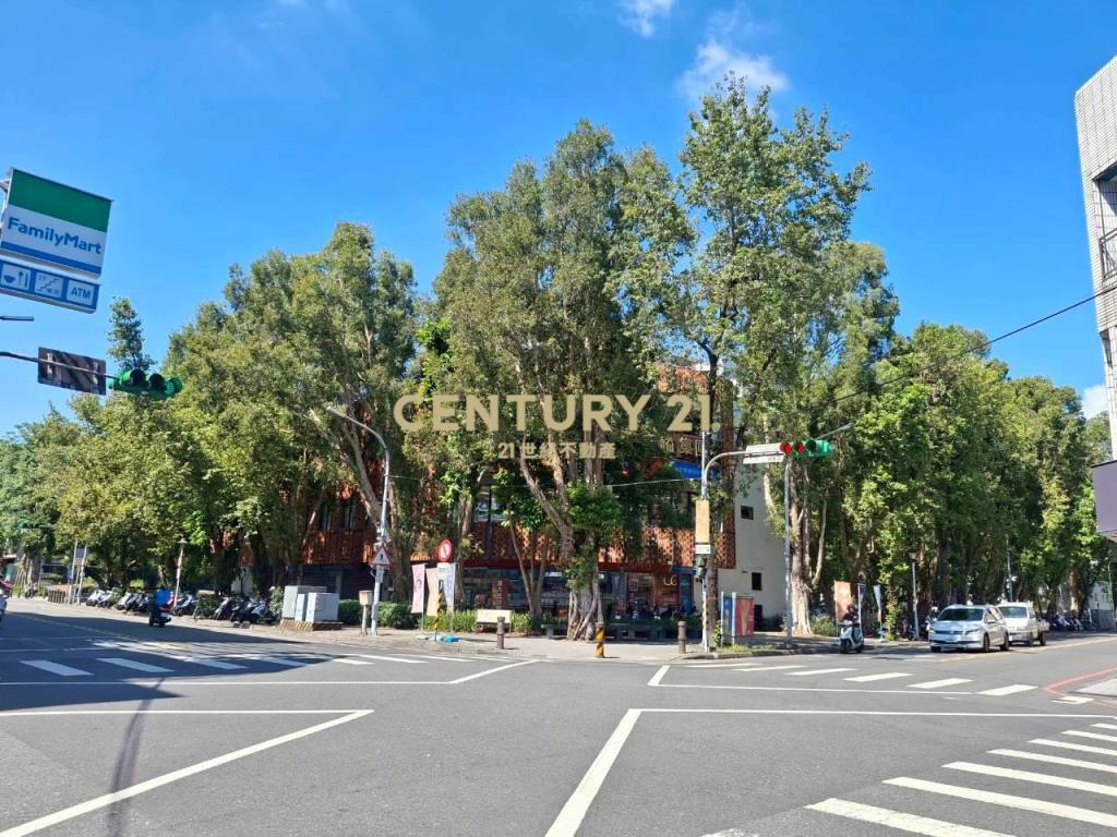 CB280宜蘭市精華區雙店面