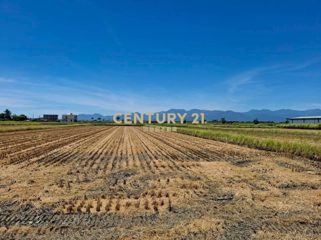 AC856動植物王國足坪農地