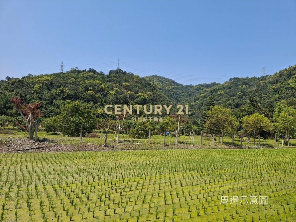 CC549礁溪自然生態山坡地