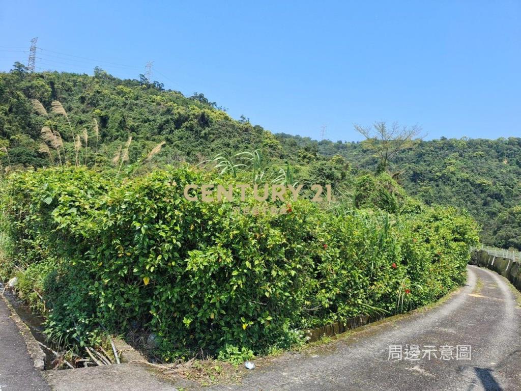 CC549礁溪自然生態山坡地