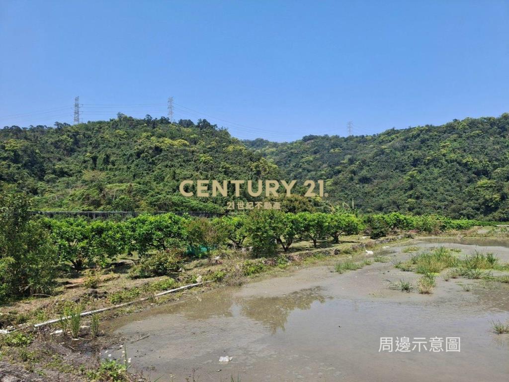 CC549礁溪自然生態山坡地