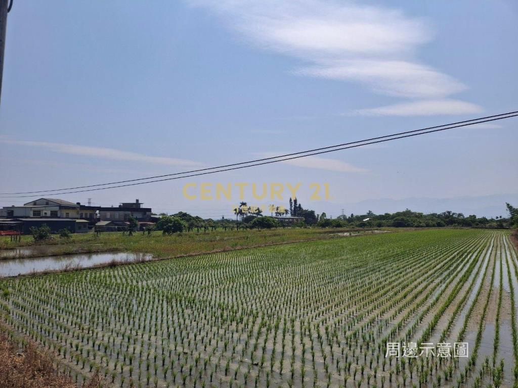 CC549礁溪自然生態山坡地