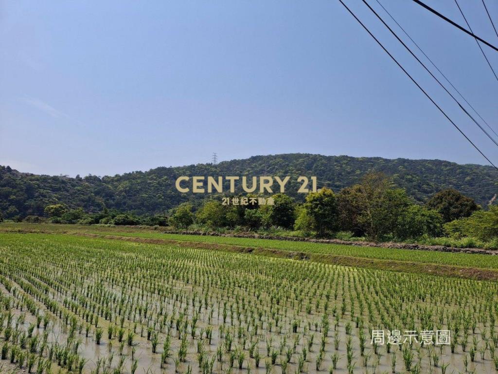 CC549礁溪自然生態山坡地