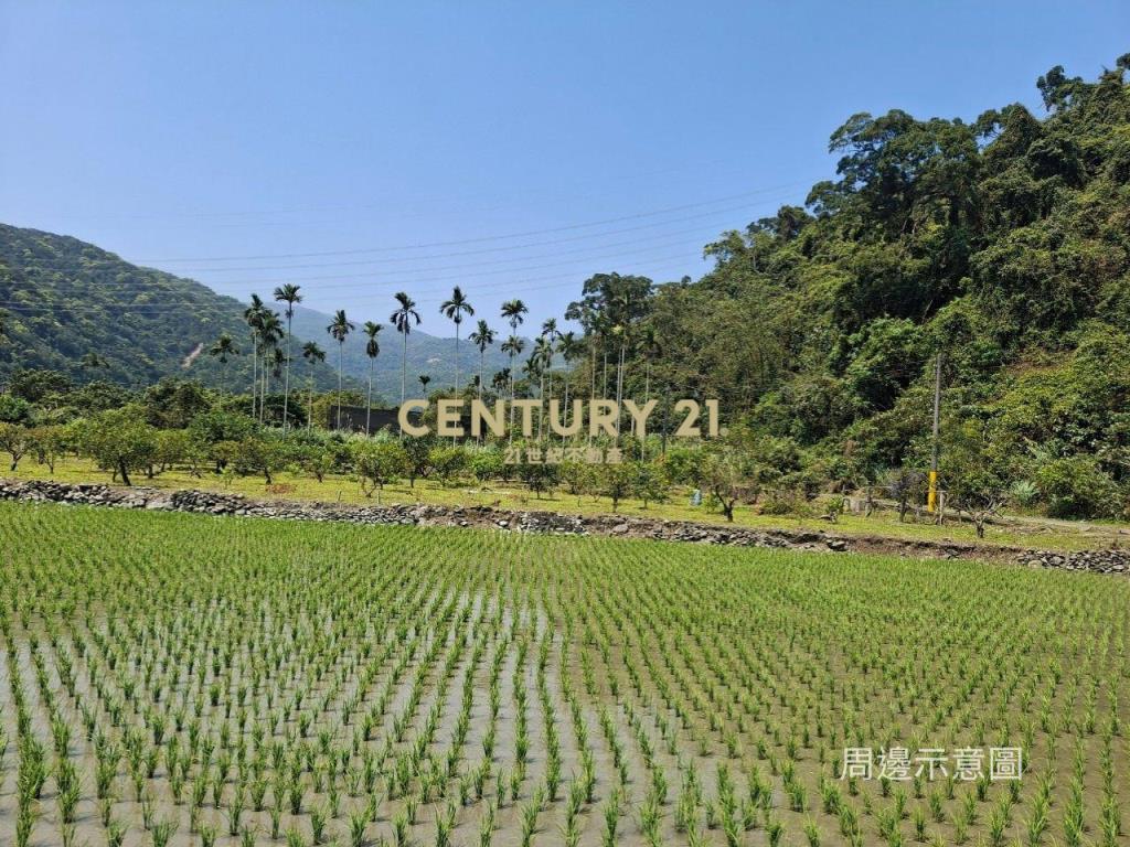 CC549礁溪自然生態山坡地