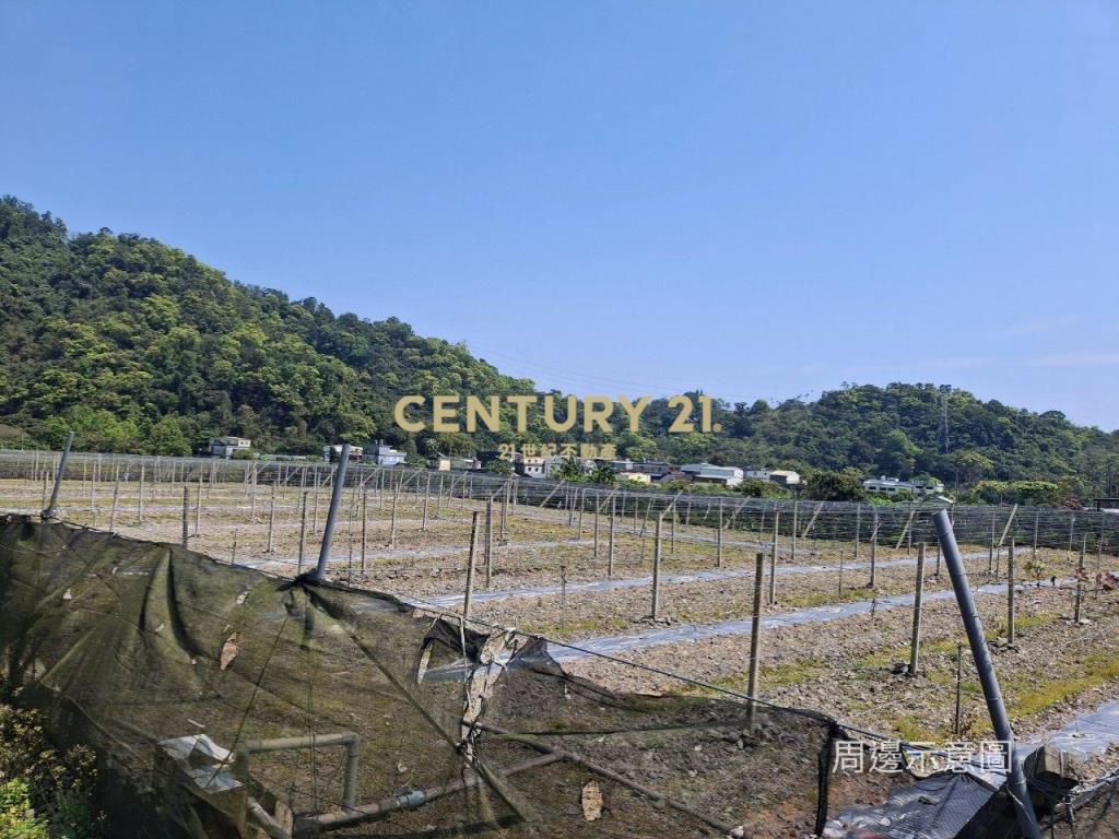 CC549礁溪自然生態山坡地