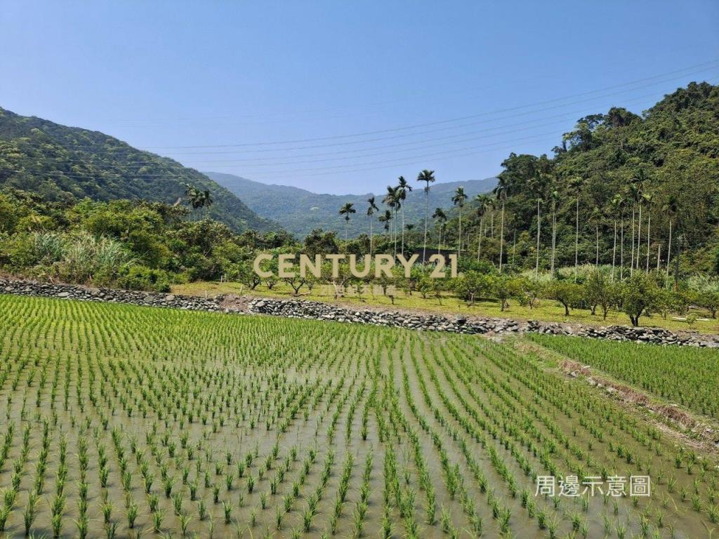 CC549礁溪自然生態山坡地