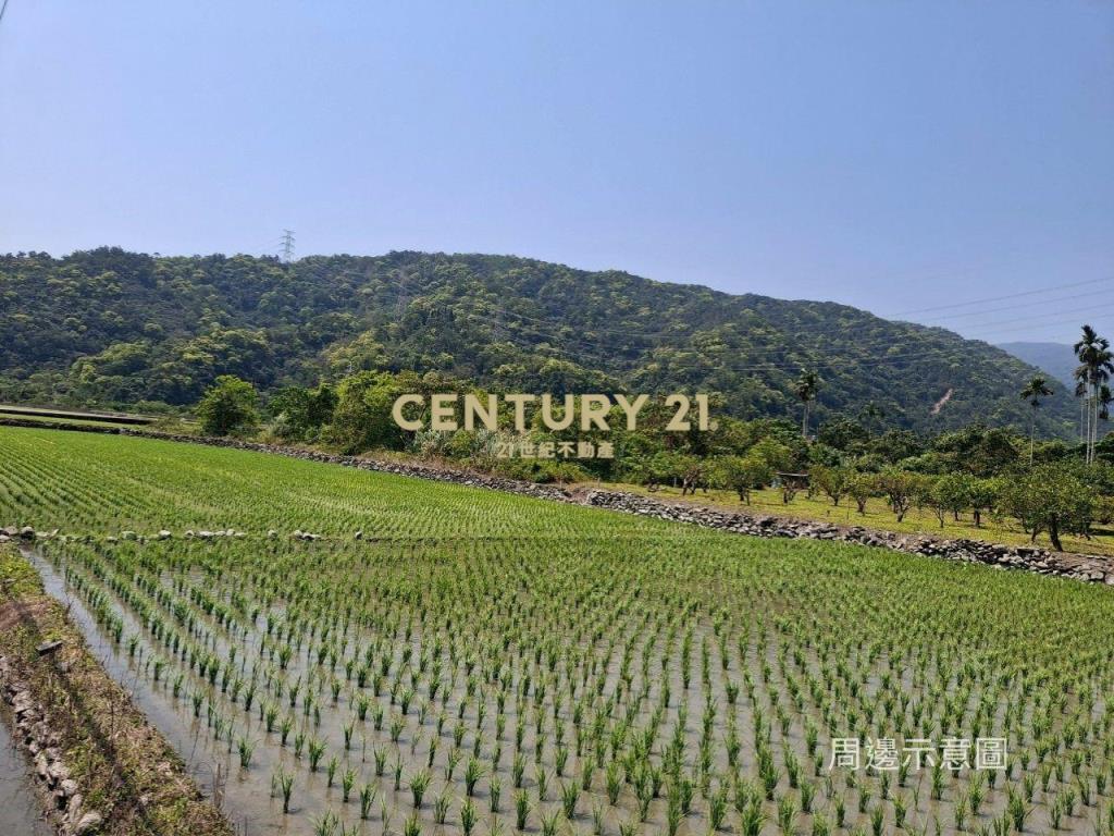 CC549礁溪自然生態山坡地